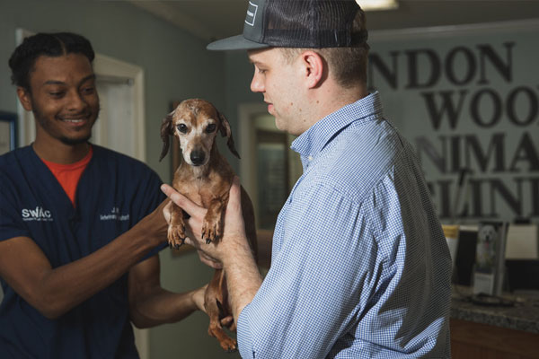 Technician handing over the dog to owner